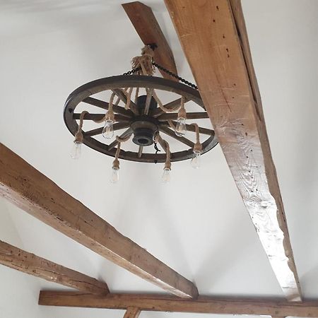Seensucht & Urlaubstraeume, Ferienwohnung "Seeadler" Grossraeschen Exteriér fotografie
